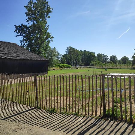 'T Dagwant Villa Geraardsbergen Exterior foto